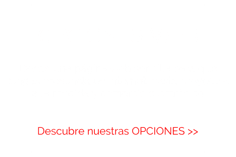 descubre las opciones de páginas web